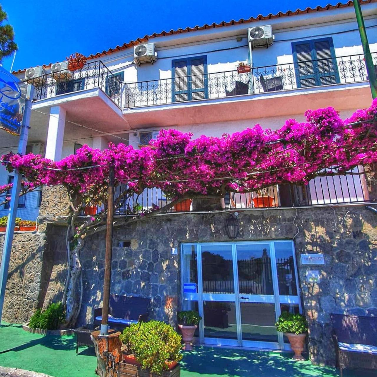 Hotel Bellavista イスキア島 エクステリア 写真
